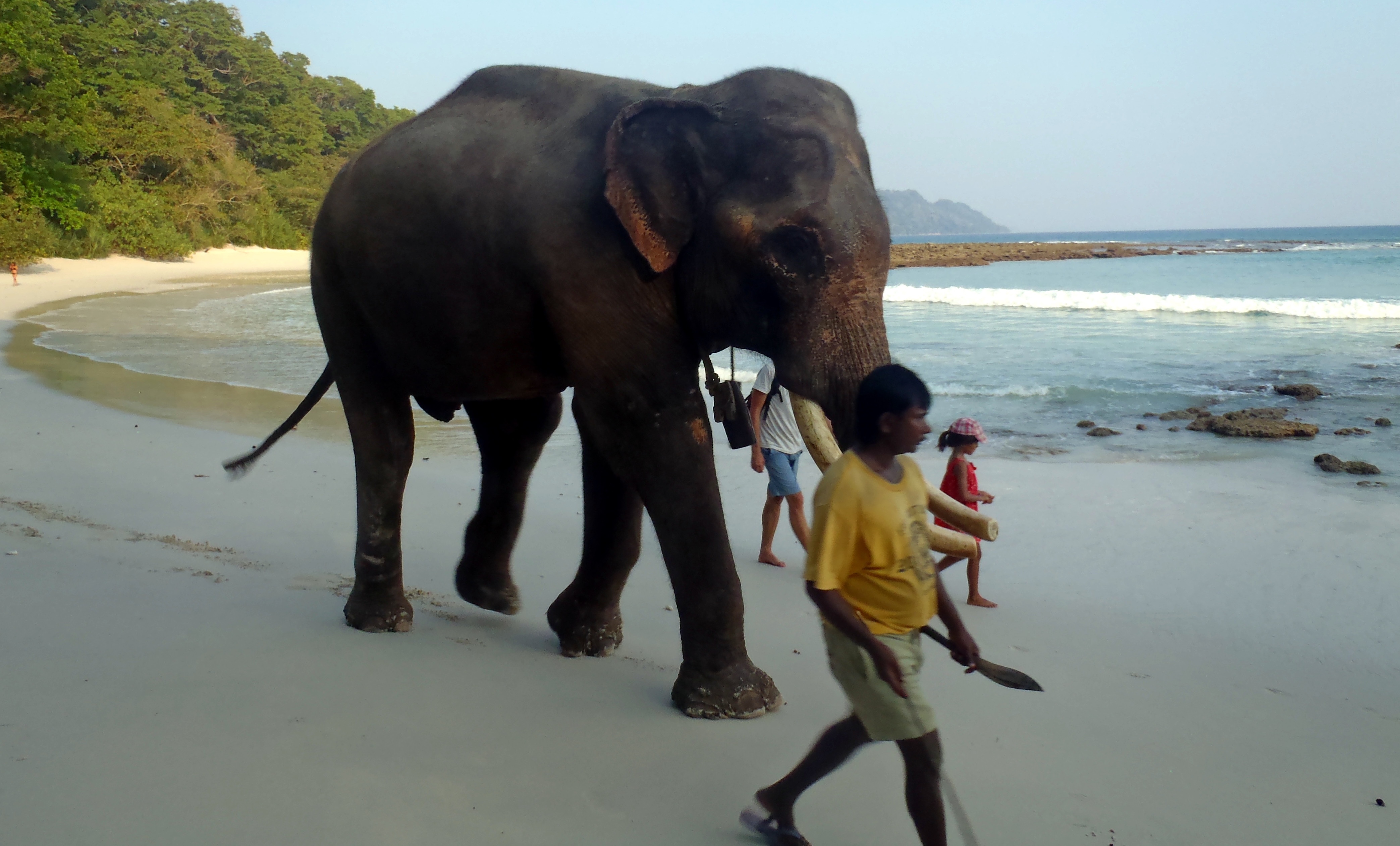 Sunset at Radhanagar Beach